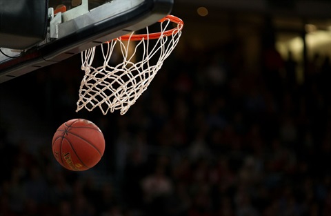 basketball and net picture