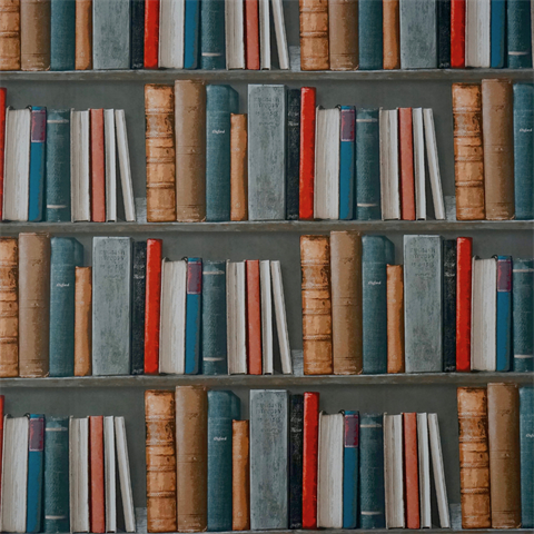 Library-Books-on-a-shelf.png