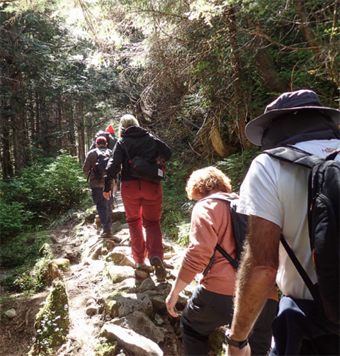 Hikers going up rustic trail