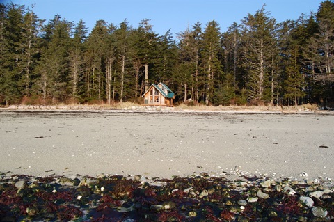Tom Young Cabin and beach view