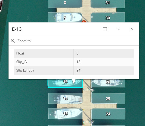 Interactive popup screenshot