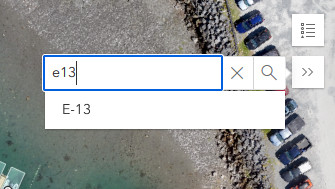 Search autocomplete screenshot
